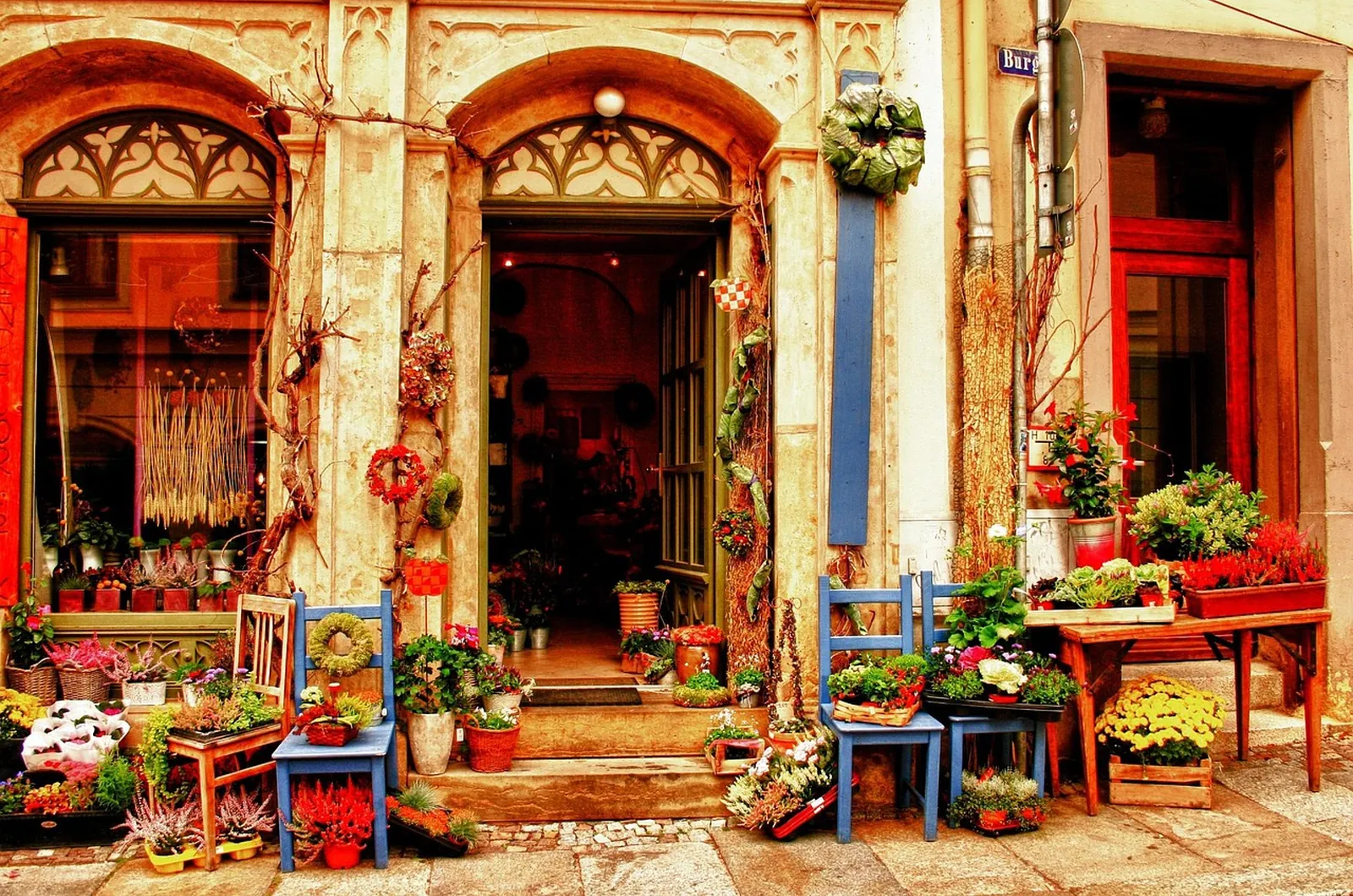 La devanture de la boutique, fleurs et plantes devant les arches