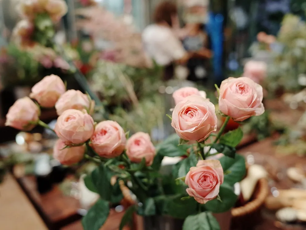 Des roses pâles en bouquet