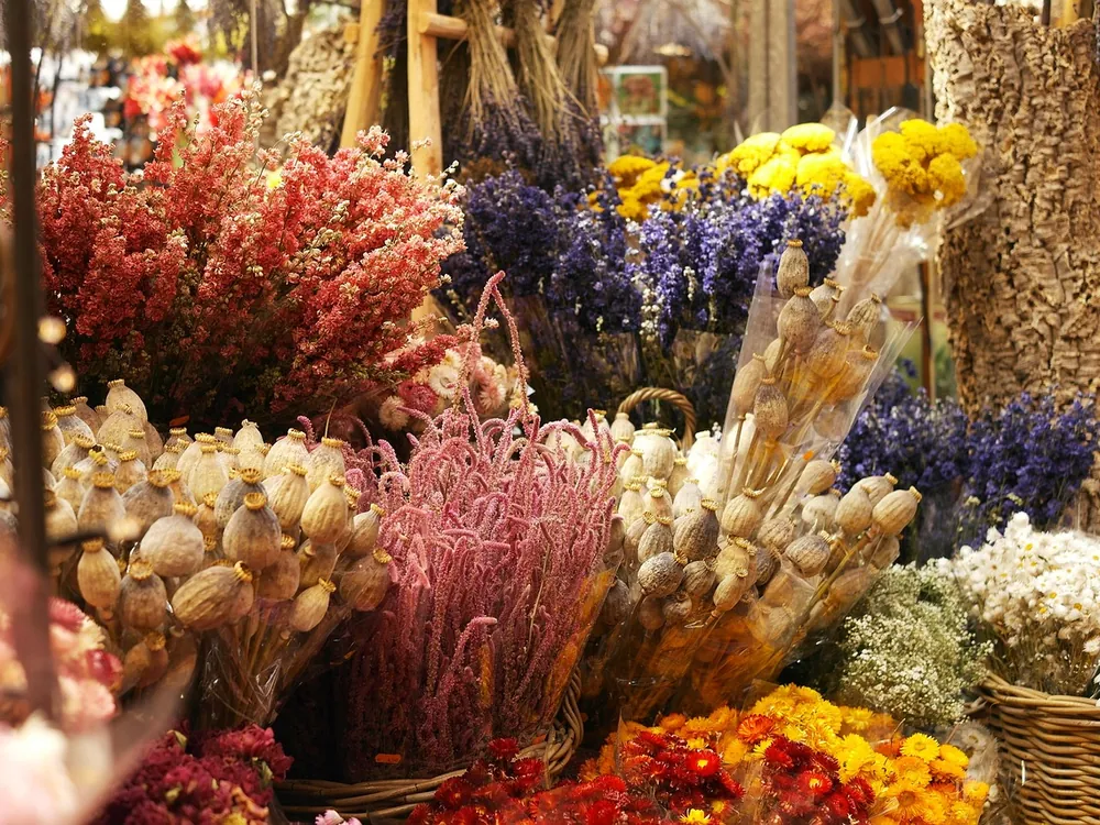 Des fleurs séchées sur l'étal