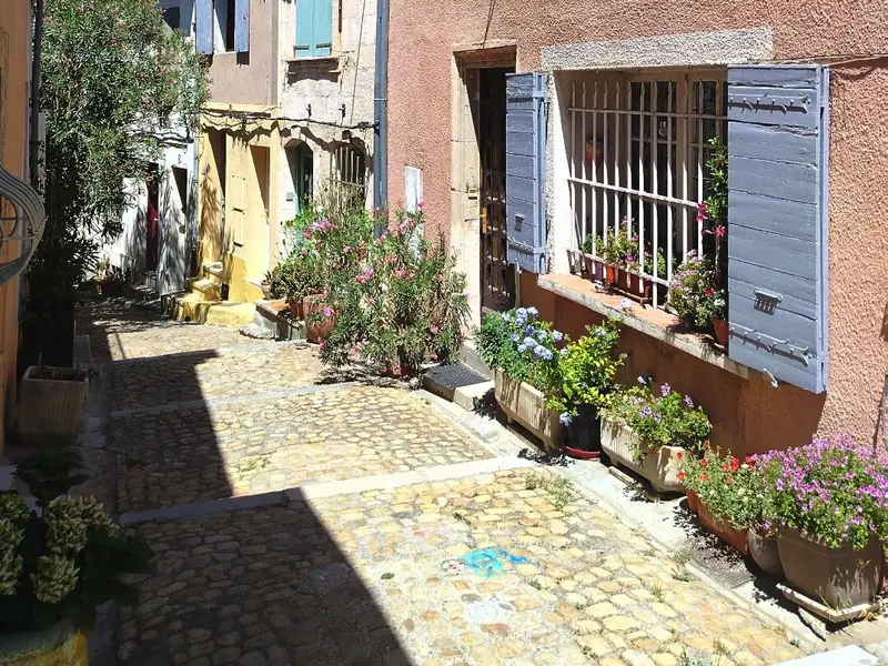 Ruelle pavée et fleurie aux volets bleus