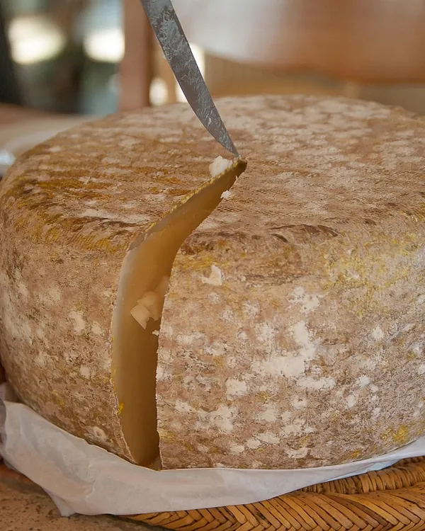 Une tomme de brebis entamée au couteau